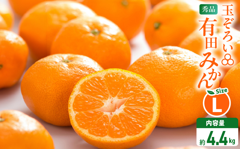 MK1042_みかん Ｌサイズ 秀品 箱込 5kg ( 内容量 4.4kg ) 有田みか