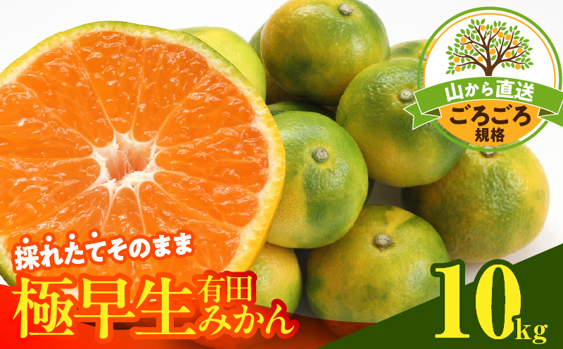 MK1078_【2026年先行予約】みかん 極早生 山から直送 箱込 10kg