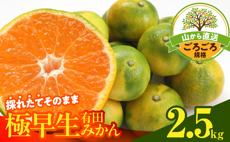 MK1081_【2026年先行予約】みかん 極早生 山から直送 箱込 2.5kg