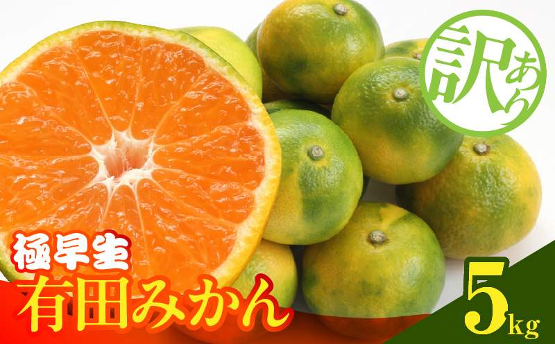 MK1084_【2026年先行予約】訳あり みかん 極早生 箱込 5kg ( 内