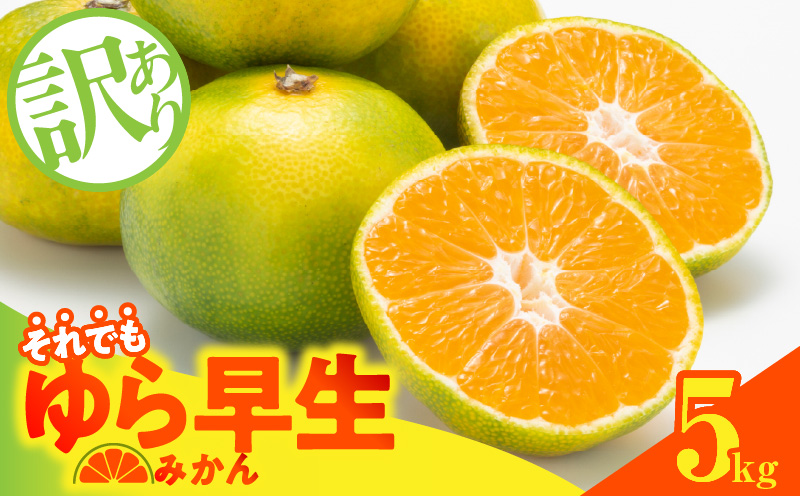 MK1068_【2026先行予約】訳あり ゆら早生 みかん 箱込 5kg ( 内