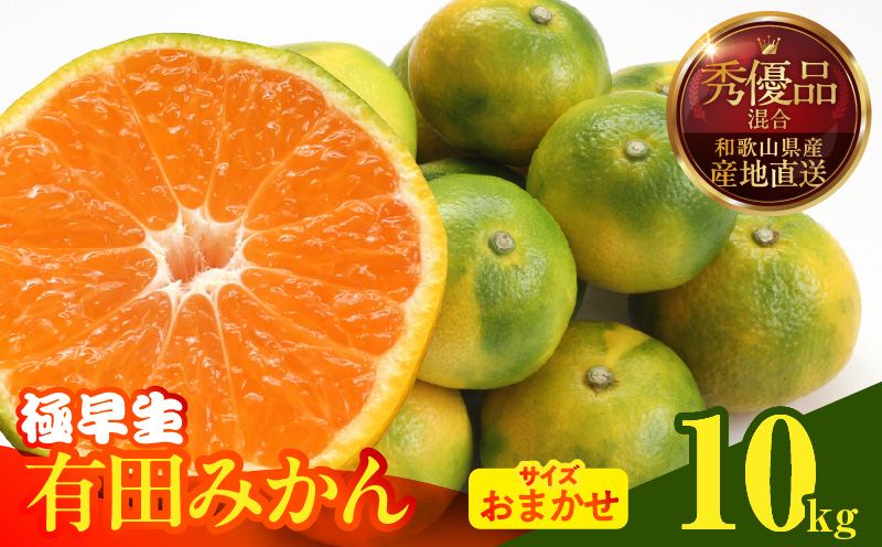 MK1070_【2026年先行予約】みかん 極早生 箱込10kg（内容量9.2kg