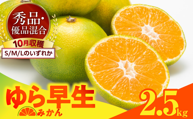 MK1057_【2026先行予約】ゆら早生 みかん 箱込 2.5kg ( 内容量 2.3