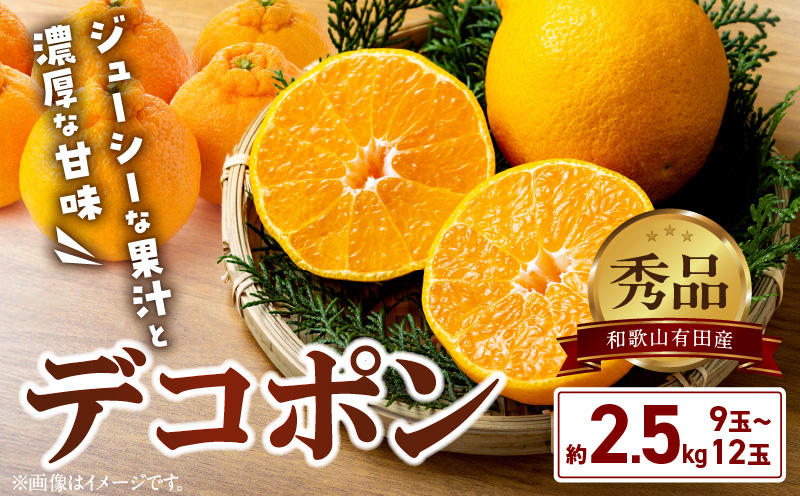 BD7008_【2026年先行予約】和歌山有田産 デコポン秀品のみ！ 2