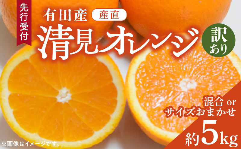 ZD92071_【2026年先行予約】【産直】有田産清見オレンジ 約5kg