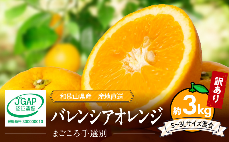 ZE6508_【2026年先行予約】和歌山県産 バレンシアオレンジ 3kg