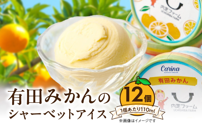 ZE6514_有田みかんシャーベットアイス　　12個入り