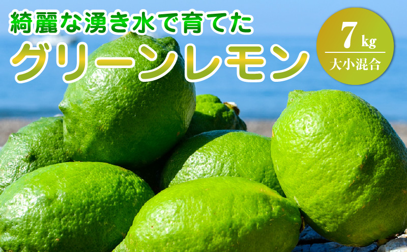 EA6113_【2026年先行予約】綺麗な湧き水で育てたグリーンレモ