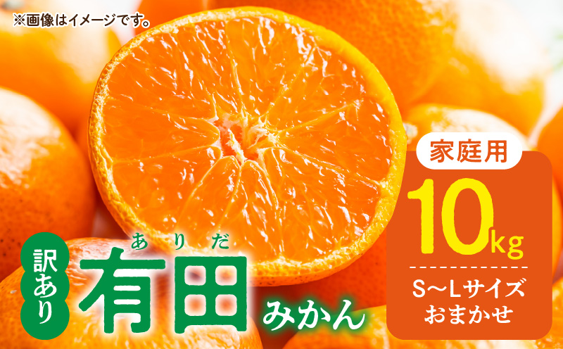 DZ6201_11_【2026年11月発送】ご家庭用 有田みかん 和歌山 S～L