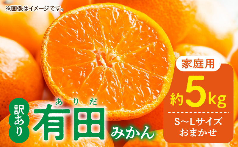 DZ6202_11_【2026年11月発送】ご家庭用 有田みかん 和歌山県産 S