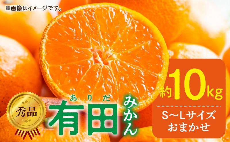 DZ6200_12_【2026年12月発送】秀品 有田みかん 和歌山県産 S～L