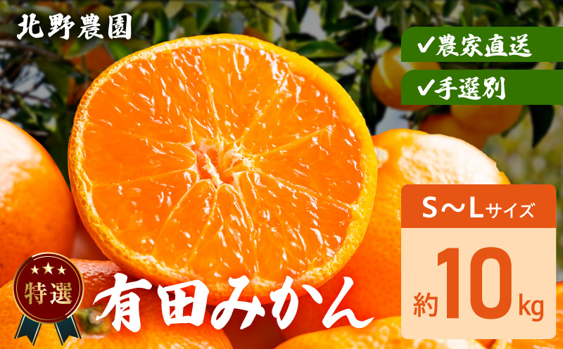 DZ6231_【2026年先行予約】特選 有田みかん 和歌山 S～Lサイズ