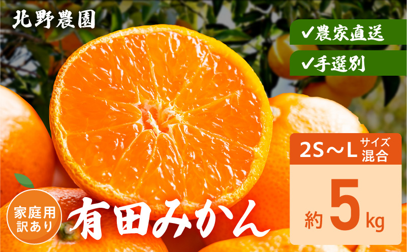 DZ6236_【2026年先行予約】家庭用 訳あり 有田みかん 和歌山 2S