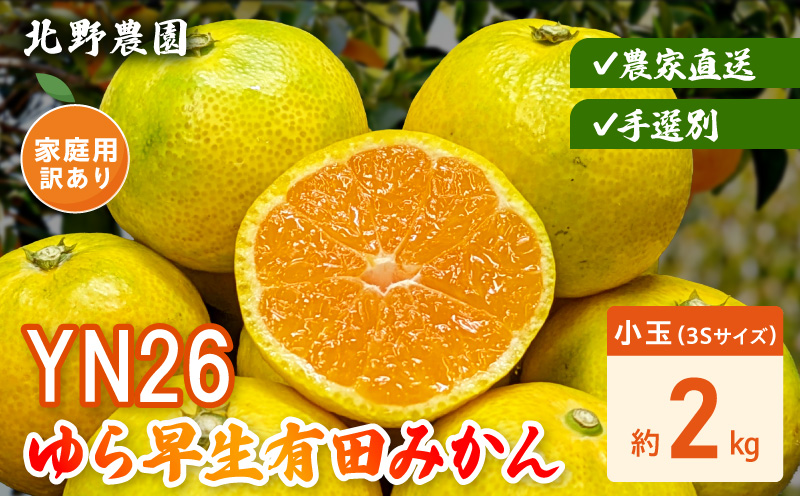 DZ6240_【2026年先行受付】家庭用 YN26 ゆら早生 有田みかん 和