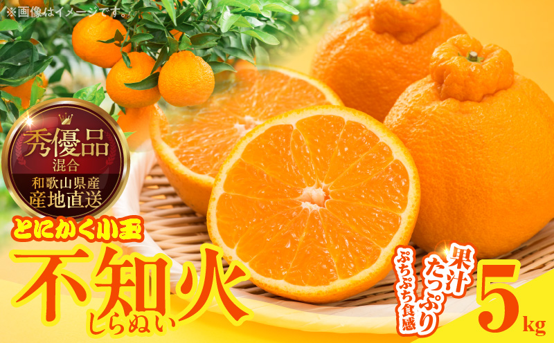 MK1017_不知火 (しらぬい) とにかく小玉 箱込 5kg (内容量約4.4kg