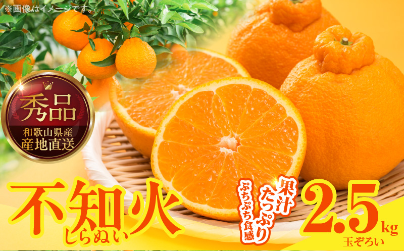 MK1014_不知火 (しらぬい) 秀品 玉ぞろい 箱込 2.5kg (内容量約2.
