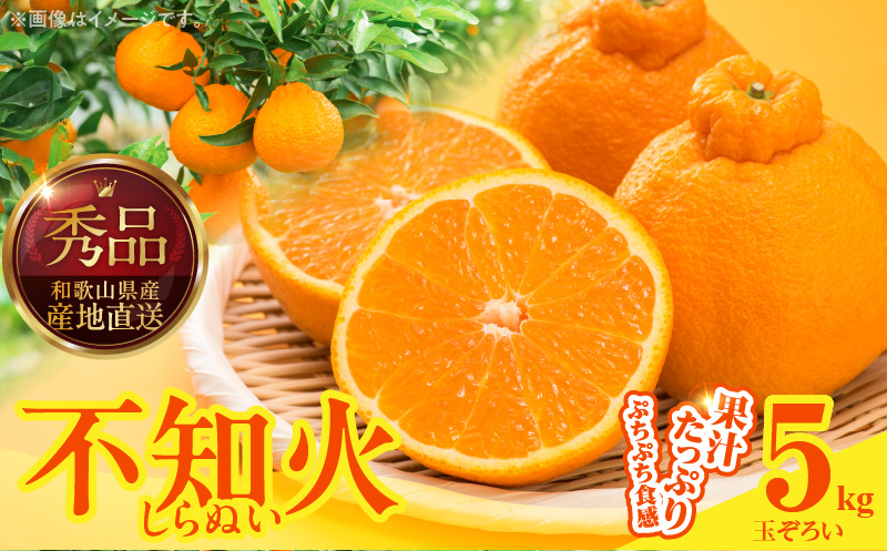 MK1013_不知火 (しらぬい) 秀品 玉ぞろい 箱込 5kg (内容量約4.4k