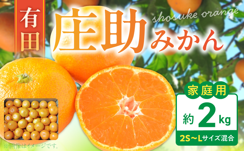 BK6017_【2026年先行予約】庄助みかん (家庭用・サイズ混合)
