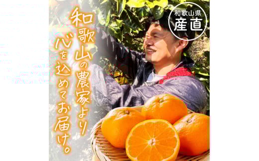 わかやま 旬の くだもの 定期便 L 全3回 / フルーツ まりひめ いちご 小玉 すいか ※北海道・沖縄・離島への配送不可 【ard050-l3A】