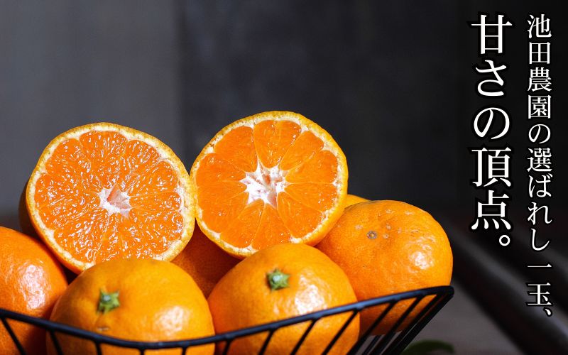 鹿蔵の 有田 みかん プレミアム 1kg+250g(傷み補償分) 光センサー 選果 / 温州みかん 有田みかん 甘い 高級 厳選 和歌山 柑橘 ※11月中旬より1月下旬に順次発送 ※北海道・沖縄・離島への配送不可 【ikd004-prem-1B】