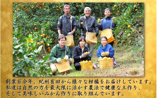 鹿蔵の 有田 みかん プレミアム 1kg+250g(傷み補償分) 光センサー 選果 / 温州みかん 有田みかん 甘い 高級 厳選 和歌山 柑橘 ※11月中旬〜1月下旬に順次発送 ※北海道・沖縄・離島への配送不可 【ikd004-prem-1B】