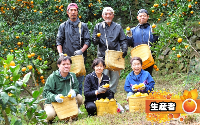 不知火 （ しらぬい ） 1kg+250g（痛み補償分） 厳選 光センサー / デコポン 高級 甘い 和歌山 柑橘 ※2月上旬～3月下旬に順次発送 ※北海道・沖縄・離島への配送不可 【ikd010-p-1A】