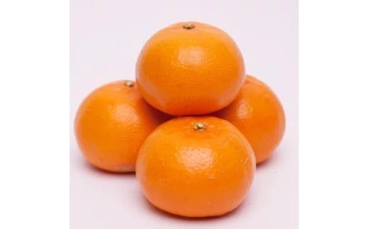 厳選 せとか 10kg+250g（痛み補償分） 光センサー / 高級 甘い 和歌山 柑橘 ※2月中旬～3月下旬頃発送 ※北海道・沖縄・離島への配送不可 【ikd014-p-10A】