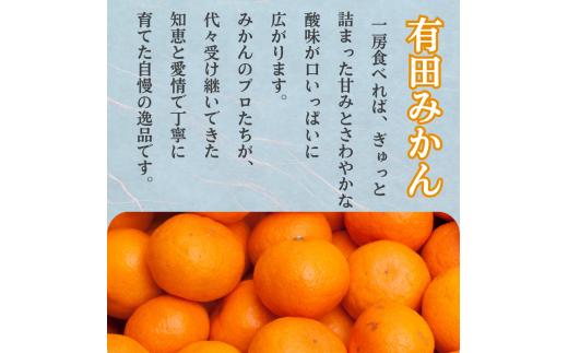 家庭用 有田 みかん 定期便 【2.5kg×3回】 / 温州みかん 有田みかん 甘い 訳あり 和歌山 有田 2.5kg ※北海道・沖縄・離島への配送不可 【ikd050-mikc-2d5-3】 2.5kg×3回