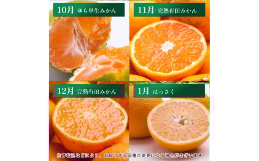 【奇数月】柑橘 定期便 S 家庭用 【全6回】【和歌山】 ※北海道・沖縄・離島への配送不可 / 定期便 フルーツ はっさく せとか 不知火 清見オレンジ カラマンダリン みかんゼリー ハウスみかん ゆら早生 有田みかん 6回【ikd050-skisu-cA】 【奇数月】家庭用48000円