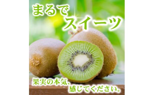 キウイ 家庭用 1kg+250g（痛み補償分） / キウイフルーツ 訳あり 和歌山 ※2025年11月中旬～2026年6月下旬に順次発送 ※北海道・沖縄・離島への配送不可【ikd505-c-1A】