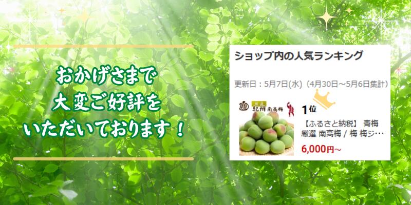 青梅 厳選 南高梅 5kg+250g（痛み補償分） / 梅 梅ジュース 梅酒 梅干し 高級 和歌山 ※5月~6月発送予定 ※北海道・沖縄・離島への配送不可 【ikd508-p-5G】