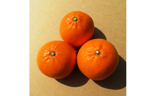 ■紀伊路屋　紀六柑きろくかん(かんきつ中間母本農６号)ストレートジュース720ml×２本12000 【kjy100-ki-720-2A】