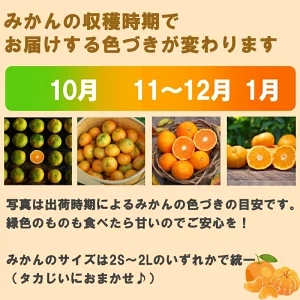 タカじいの 有田 みかん 3kg （良品 サイズ混合 or 大玉） / 温州みかん 有田みかん 甘い 家庭用 和歌山 柑橘 ※12月順次発送 【krs004-c-3-12A】