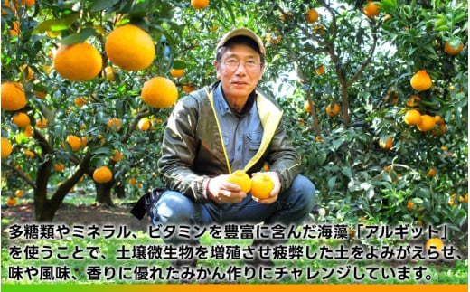 タカじいの 不知火 ( しらぬい ） 5kg / デコポン 甘い 和歌山 有田 柑橘 ※3月上旬～3月下旬に順次発送 【krs010-r-5】