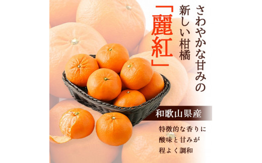 麗紅 （ れいこう ） 訳あり 2kg / オレンジ 甘い 家庭用 和歌山 有田 柑橘 ※2月中旬〜3月下旬に順次発送 【krw012-c-2】