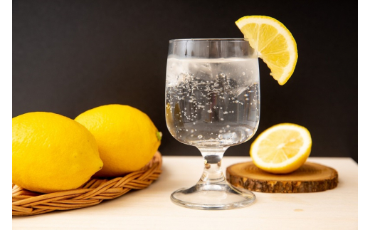 レモン 3kg 国産 / 和歌山 柑橘 ※2月上旬〜3月中旬に順次発送  【krw040-r-3】