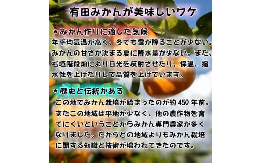 高糖度 有田みかん 特秀品 10kg M～Lサイズ ※2025年10月上旬～12月下旬頃発送予定 【ngt004-p-10ml】