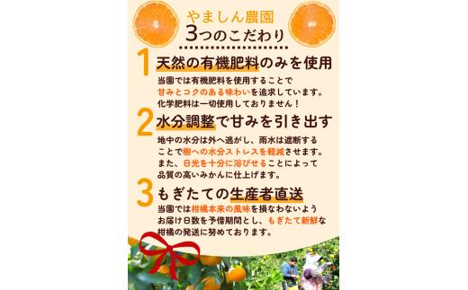 有田 みかん 訳あり 2kg 光センサー 選別 / 温州みかん 有田みかん 甘い 家庭用 和歌山 柑橘 ※2026年11月順次発送 ※北海道・沖縄・離島への配送不可【nuk004-c-2-novH】