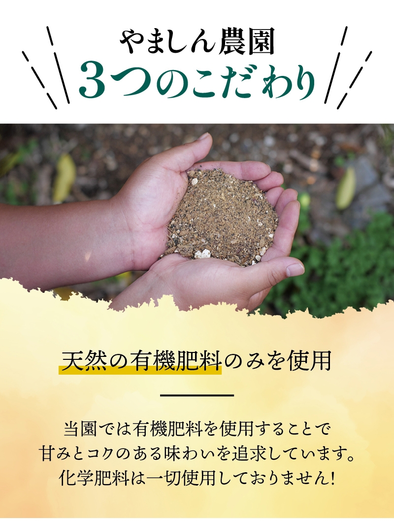 有田 みかん 訳あり 6kg 光センサー 選別 / 温州みかん 有田みかん 甘い 家庭用 和歌山 柑橘 ※2027年1月順次発送 ※北海道・沖縄・離島への配送不可 【nuk004-c-6-janH】