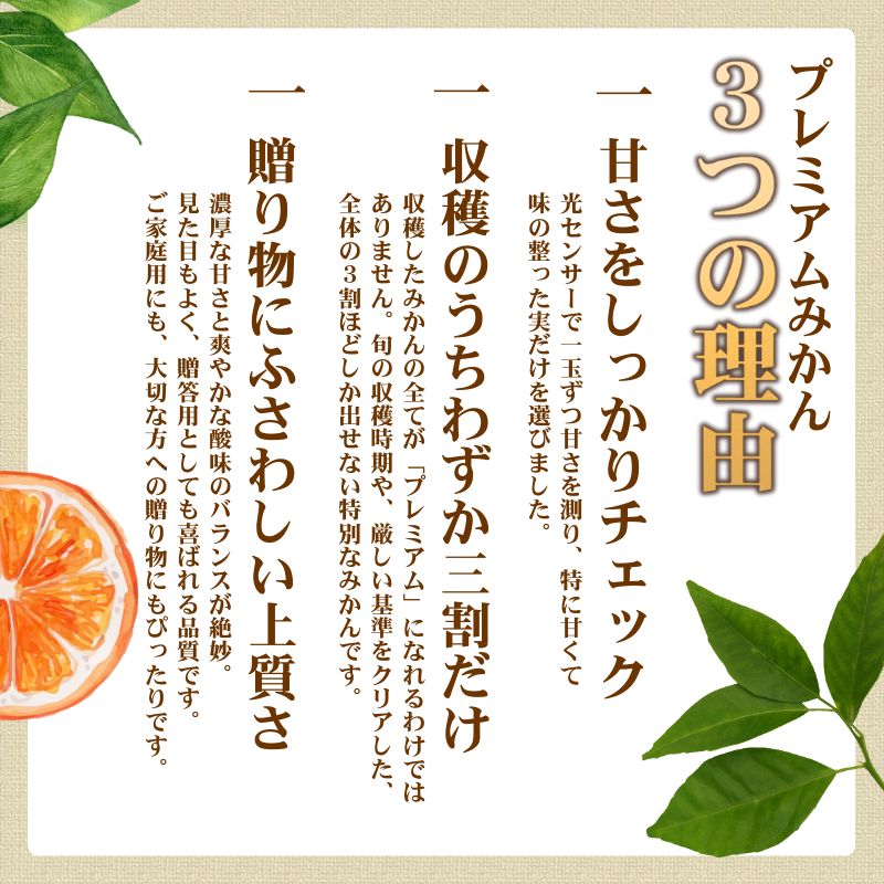 有田みかん 極 プレミアム 3.5kg (2S～Lサイズ) 光センサー選別 / 温州みかん みかん 甘い 高級 和歌山 柑橘 ※2026年11月下旬～2027年1月上旬頃に順次発送予定 ※北海道・沖縄・離島への配送不可 【nuk004-p-3d5A】