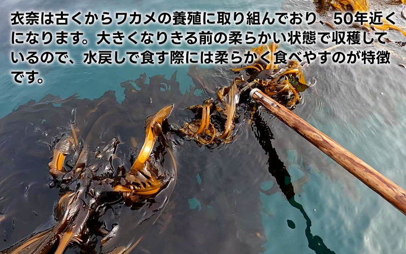 ▼紀州衣奈産乾燥わかめ 150g × 8パック(2026年産) /わかめ 海草 和歌山 国産 味噌汁 具材【sml213-wak-8】