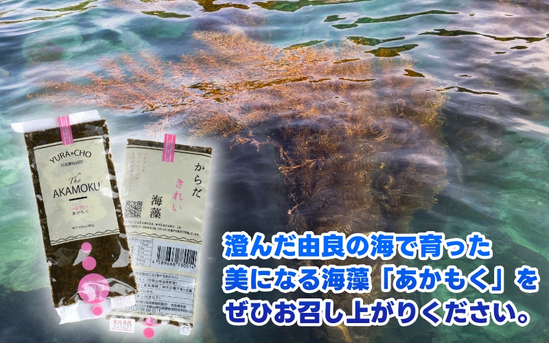 ［由良町産］ 紀州 あかもく 由良町産 100g×15パック 2025年産/ 海藻 フコイダン もずく 【sml214-100-15】