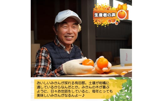 有田 みかん 「木箱姫」 / 温州みかん 有田みかん 甘い 和歌山 柑橘 ※11月上旬～翌年2月中旬頃に順次発送予定 【tkf004-p-32】