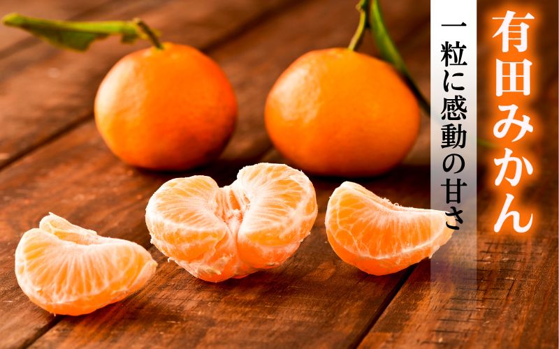 【ANA限定】特A級 ちっ濃いみかん 3kg (有田みかん)　【tkn005-s-5-ana】
