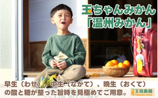 有田 みかん 旨時 体に優しい玉ちゃんみかん 2kg / 温州みかん 有田みかん 甘い 和歌山 柑橘 ※12月初旬～2月中旬に順次発送 【tmd004-cu-2】