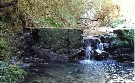 【25年度新米】津木のお米 4.5kg【tug400-4d5A】