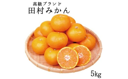 【全3回定期便】 フルーツ大国 和歌山 よりお届け！旬の フルーツ 定期便 A【田村みかん・まりひめ・紀州デコ】 / 果物 みかん いちご 定期便 ※離島配送不可