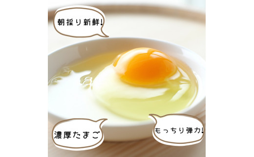 平飼い！高級有精卵 30個入り（Lサイズ） / 玉子 たまご 高級 平飼い 贈答 【ymg609-p-30】