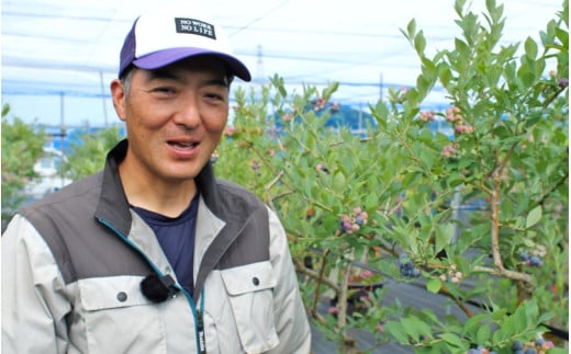 ブルーベリー 狩り 1000円×3枚 利用券 ※6月上旬～7月下旬 開催！ 食べ放題 時間無制限 で約10品種の食べ比べをお楽しみください♪ / ハイブッシュ ラビットアイ ファミリー カップル 女性 におすすめ♪【asa911-cp3】