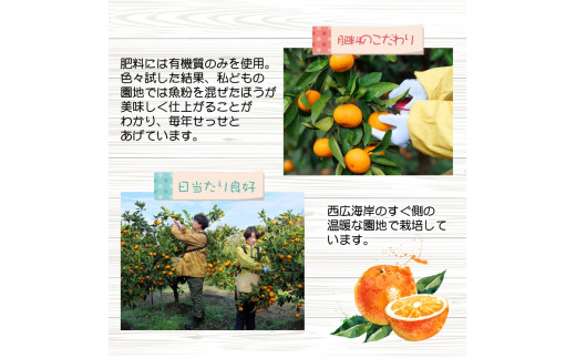 完熟 有田 みかん サイズ混合 2kg 久幸園 / 温州みかん 有田みかん 甘い 家庭用 和歌山 柑橘 ※11月〜順次発送予定【hsk004-r-2】